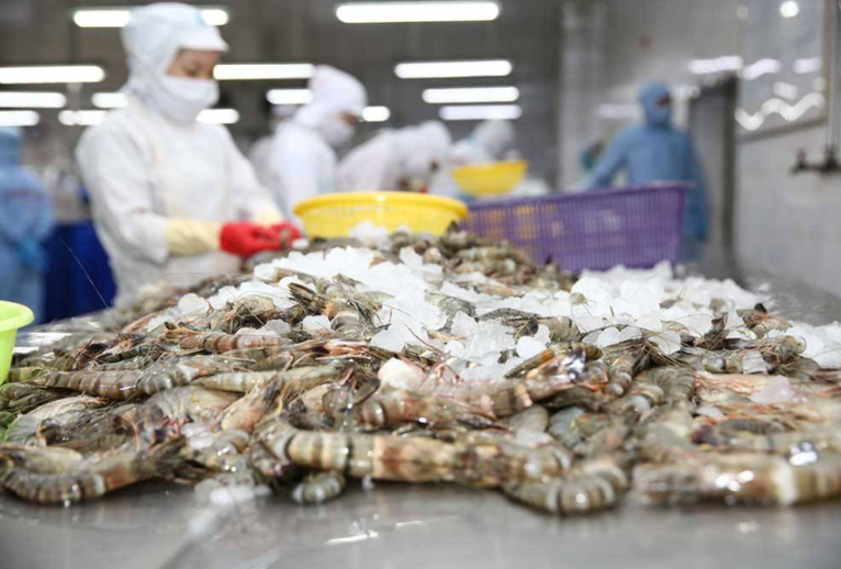 Xuất khẩu thủy sản Việt Nam hướng tới 12 tỷ USD, Trung Quốc là thị trường lớn nhất